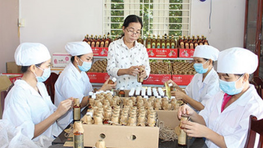 Le Nguyen, a passionate for dragon fruit products