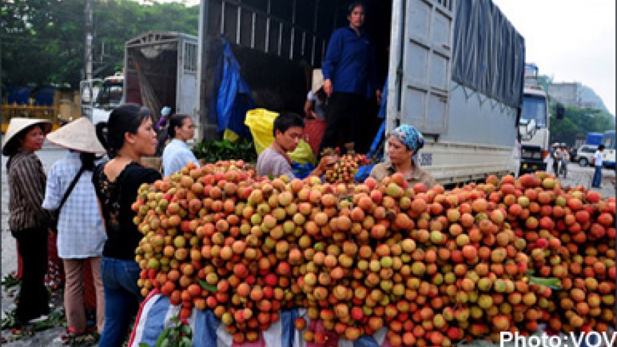 Vietnamese fruit to penetrate US market
