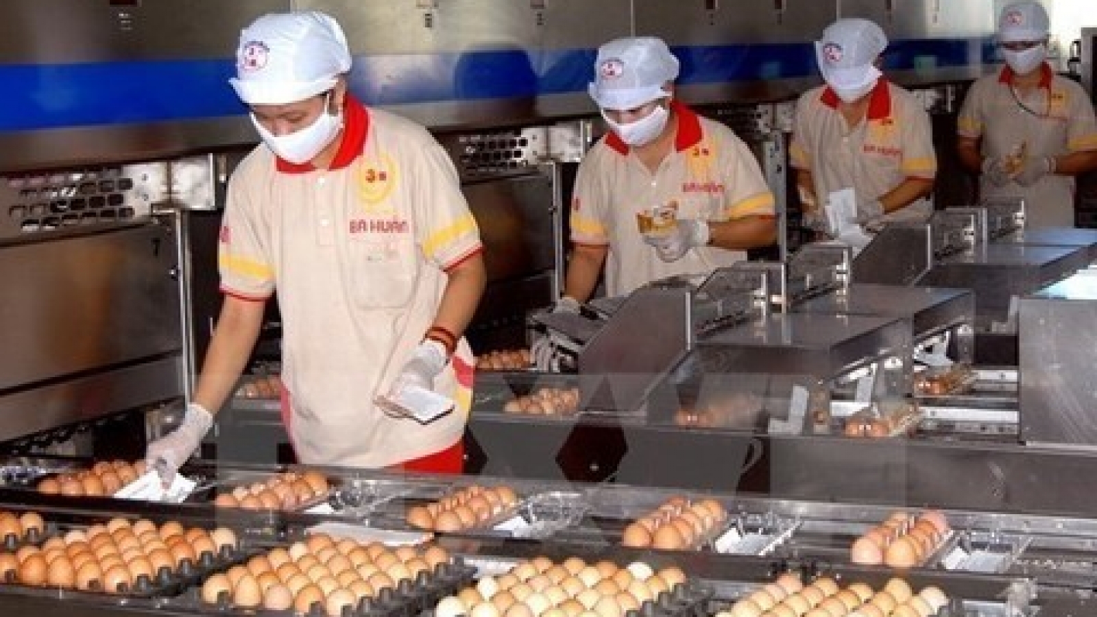 Livestock exports expected to fetch 1.2 billion USD this year