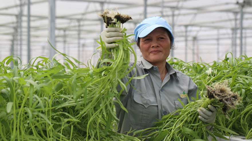 Vietnam, Israel bolster cooperation on labour