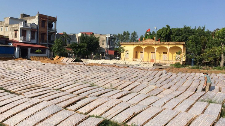 Lo Cuong rice noodle village thrives despite urbanization