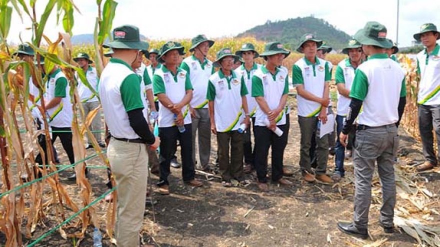 Local corn farmers empowered to plan future with confidence