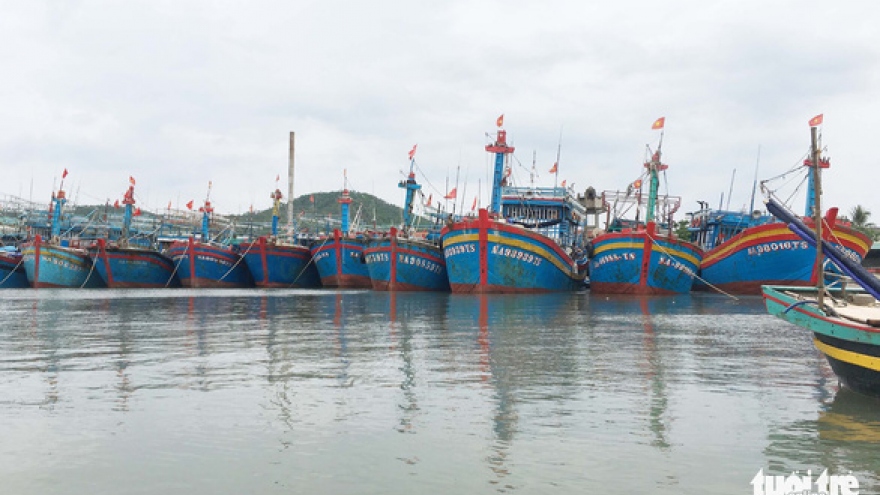 One saved and six missing following vessel sinking in Quang Binh 