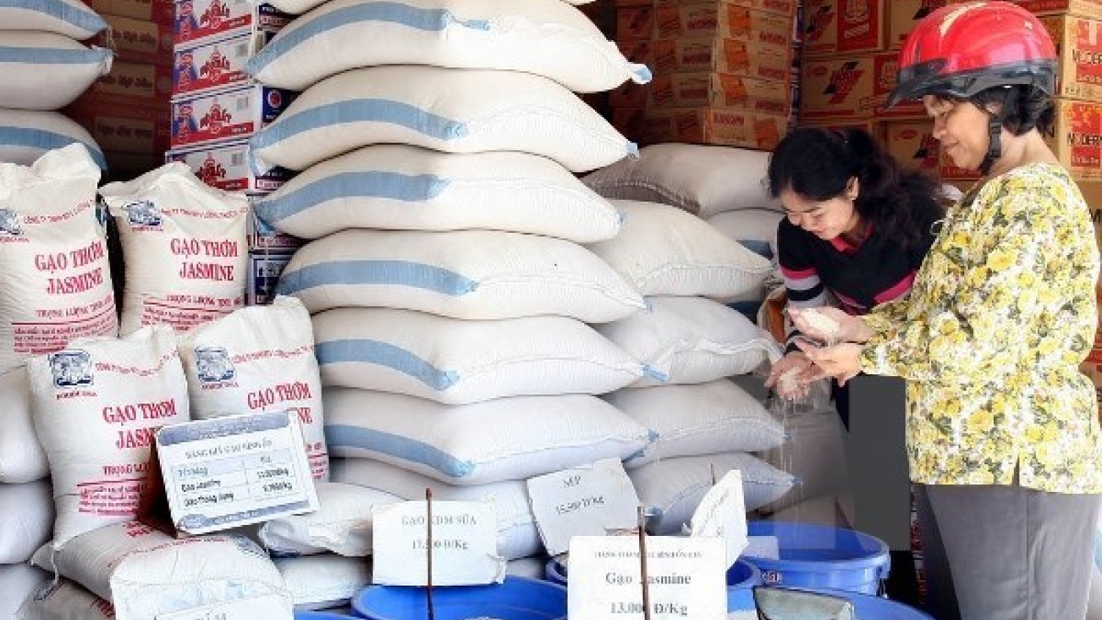 Logo design contest aims to promote Vietnamese rice trademark