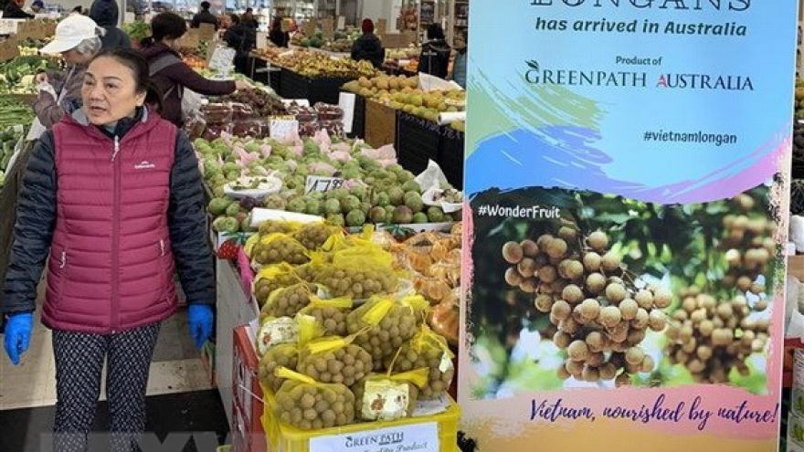 Long journey of Vietnamese fruits to Australia