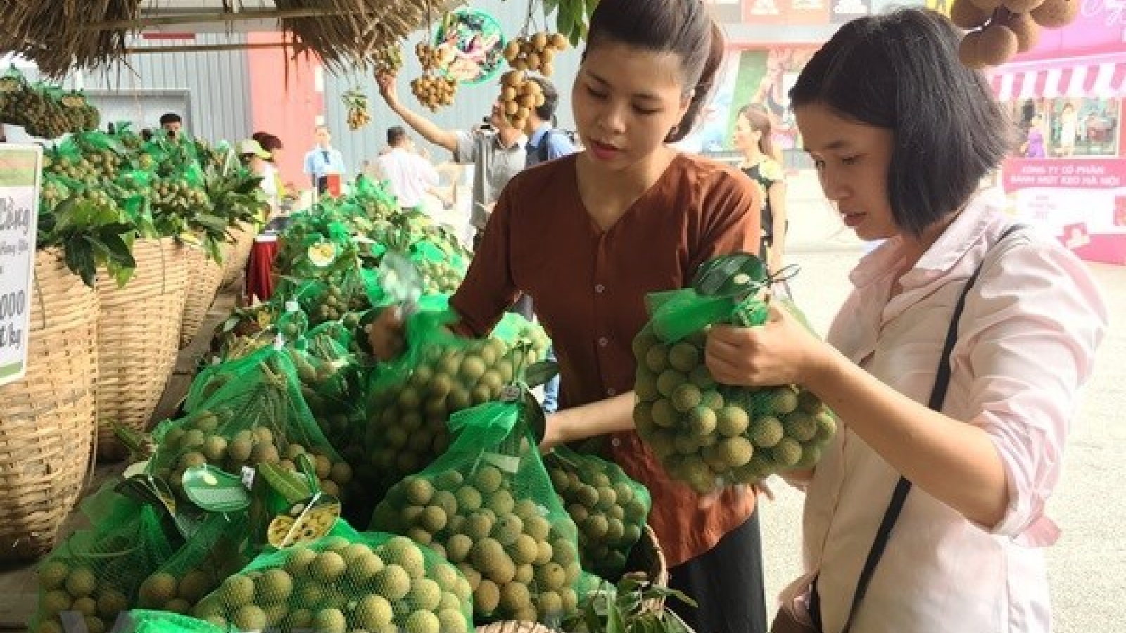 Vietnam may export longans to Australia in 2019