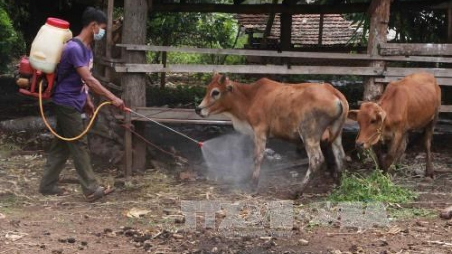 Vietnam to produce foot-and-mouth disease vaccines next year