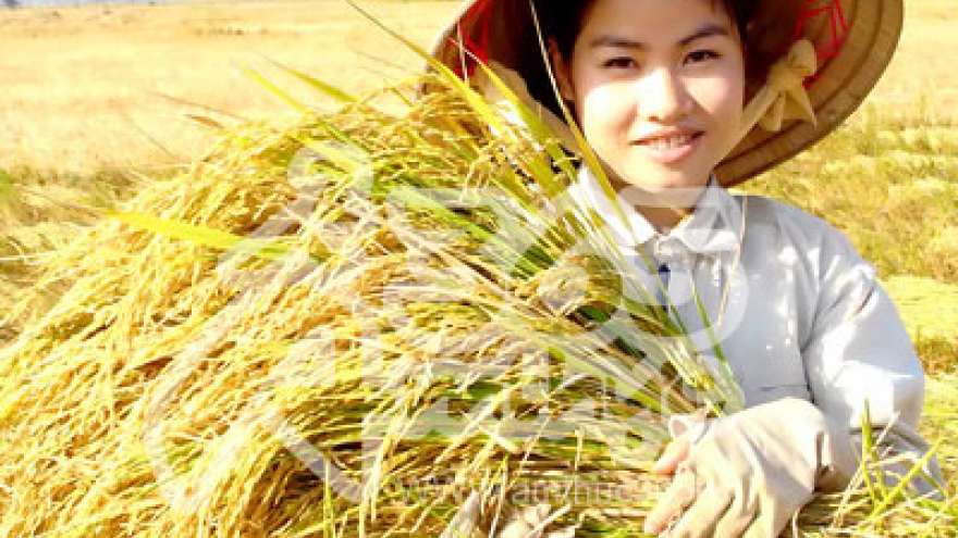MekongInvest to lure greater investment