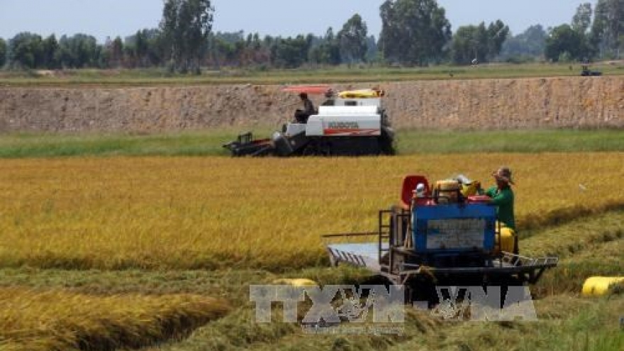 PM urges increasing rice added-value