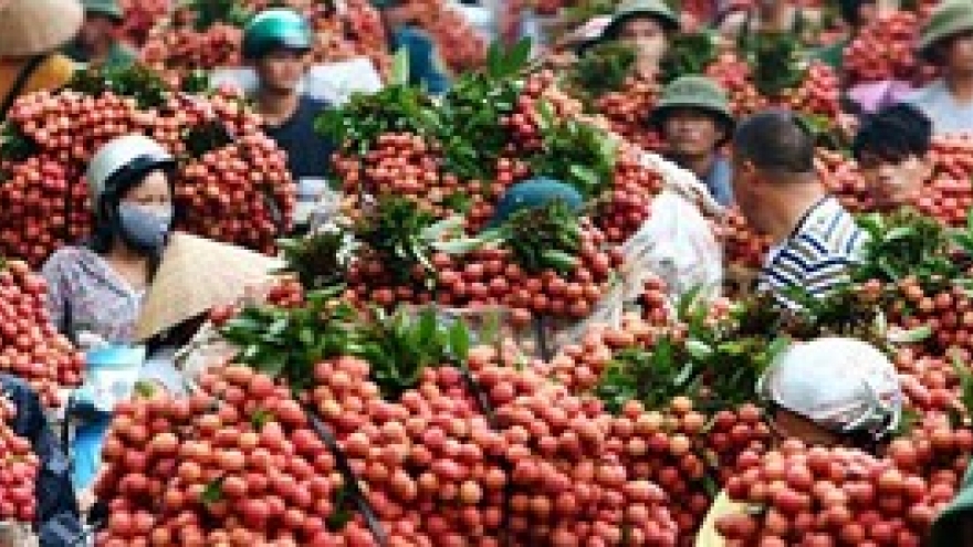 Works remains for exports to Australia