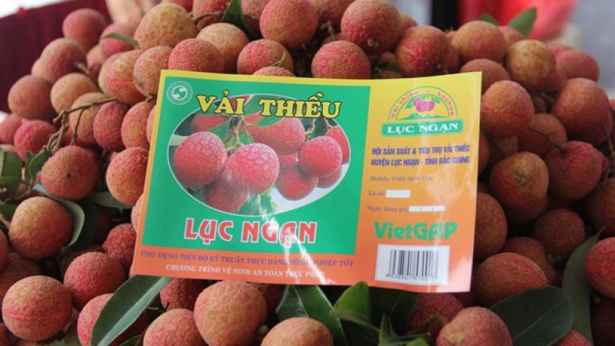 Vietnam posts best lychee crop in 60 years