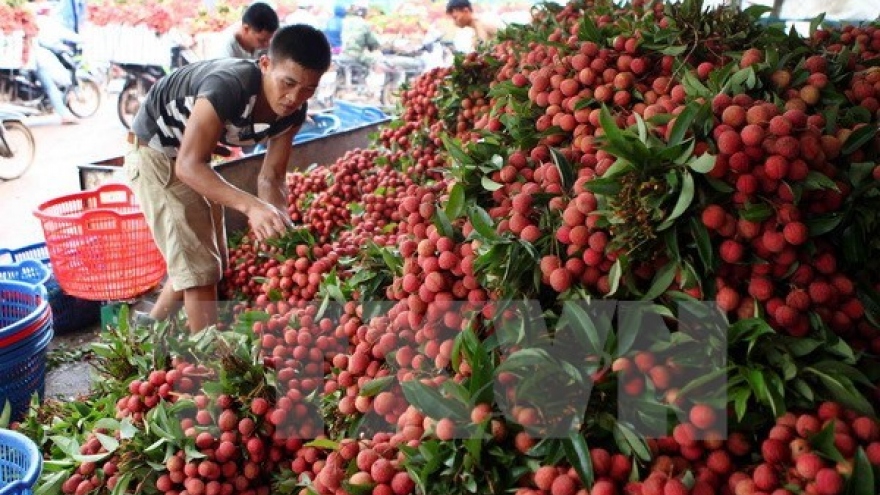 Workshop boosts fresh lychee exports via Lang Son border gates