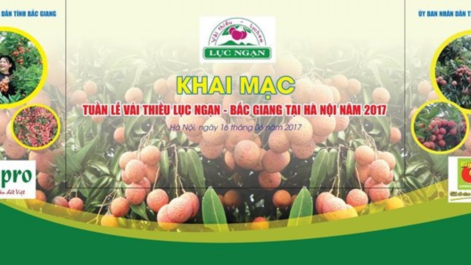 Luc Ngan lychee week opens in Hanoi