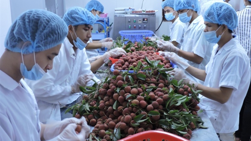 Strong rise in farm exports via Lang Son border gate