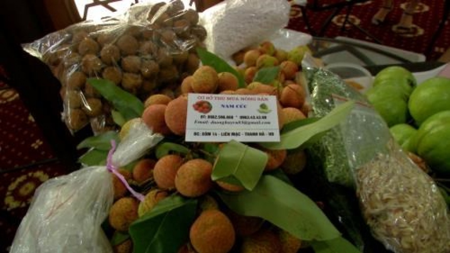 Firms boost fresh lychee exports via Lao Cai border gate