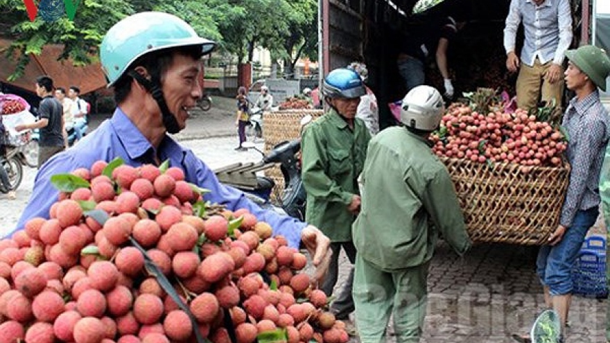 More than 186,000 tons of lychees consumed