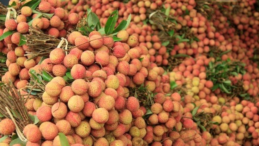 China buys over 9,500 tons of lychees