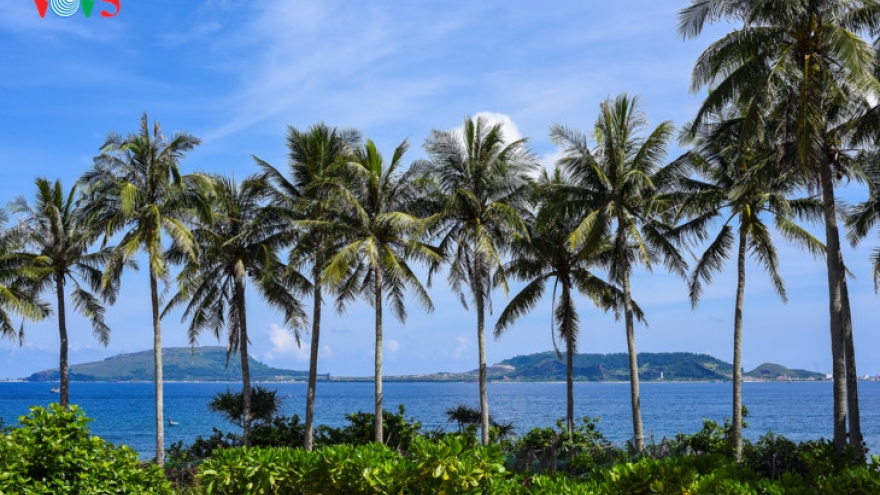 Ly Son island, a living museum of folk culture