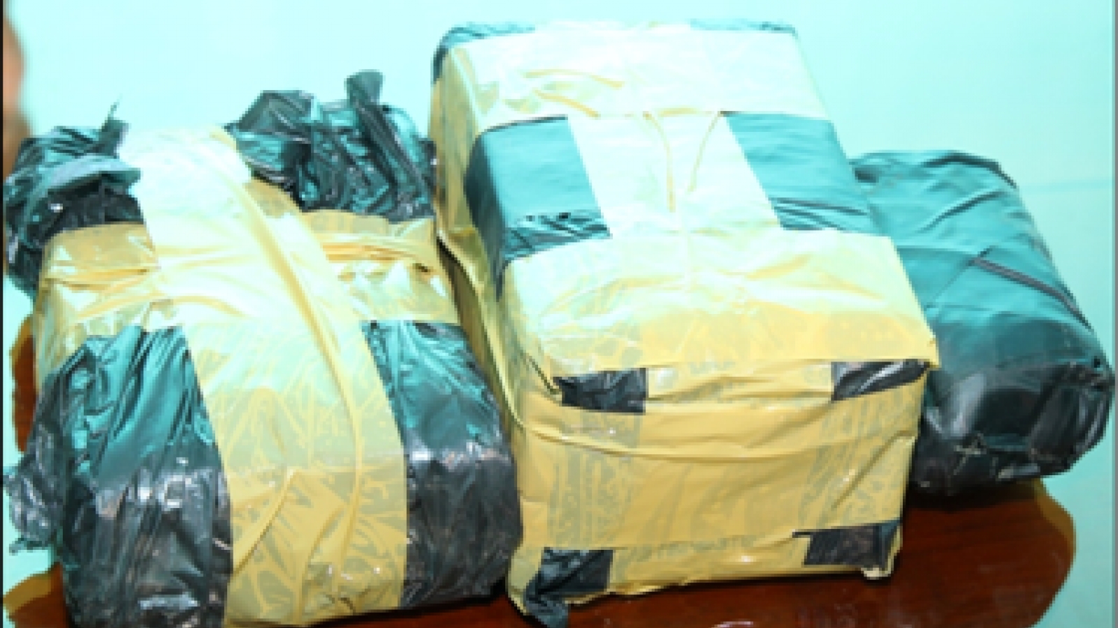 Police bust drug ring in Ha Nam province