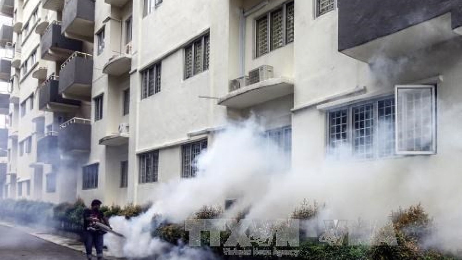 Malaysia suspects new Zika virus type