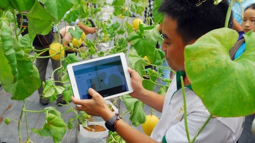 HCM City launches tech development fund