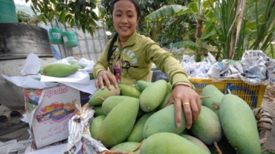 China remains crucial as Vietnam expands fruit exports