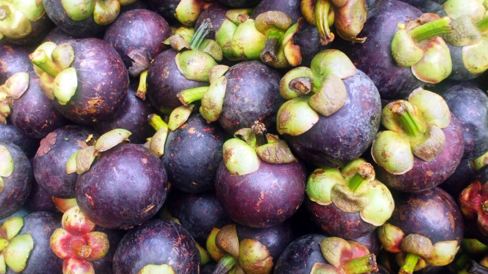 Mangosteen hit US and Australian supermarket shelves