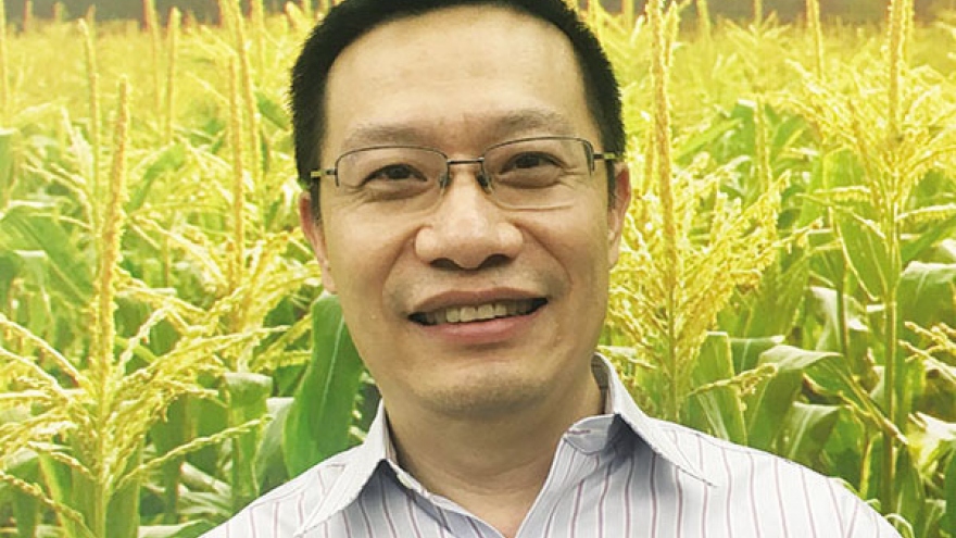 Monsanto delivers innovative technology to help corn farmers yield high production