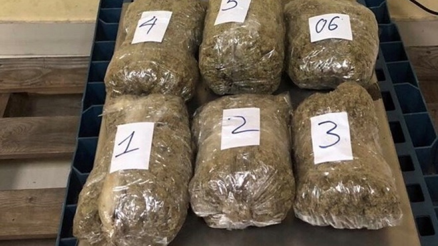 
        Marijuana trafficking ring from US to Vietnam uncovered
                              