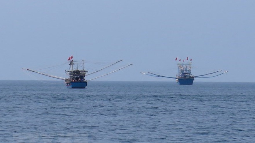 
        Vietnam’s marine development strategy introduced in Malaysia
                              