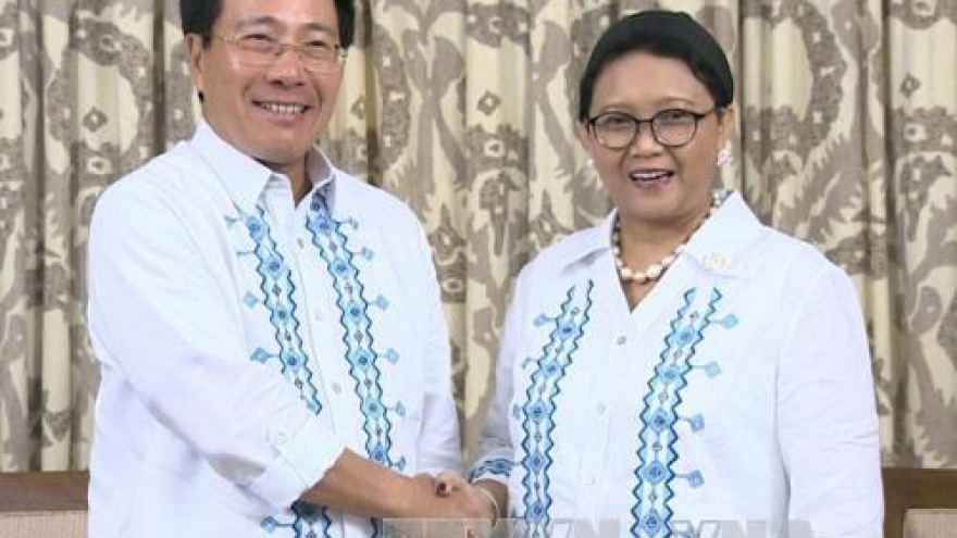 Vietnam, Indonesia consolidate friendship