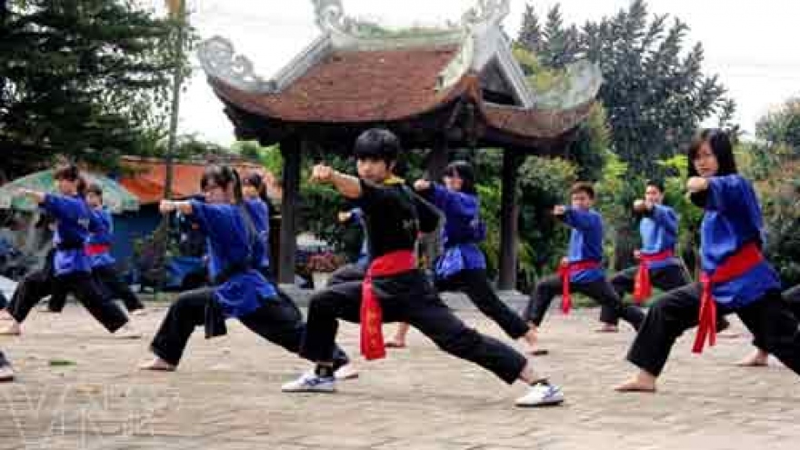 First World martial art championship takes place in HCM City