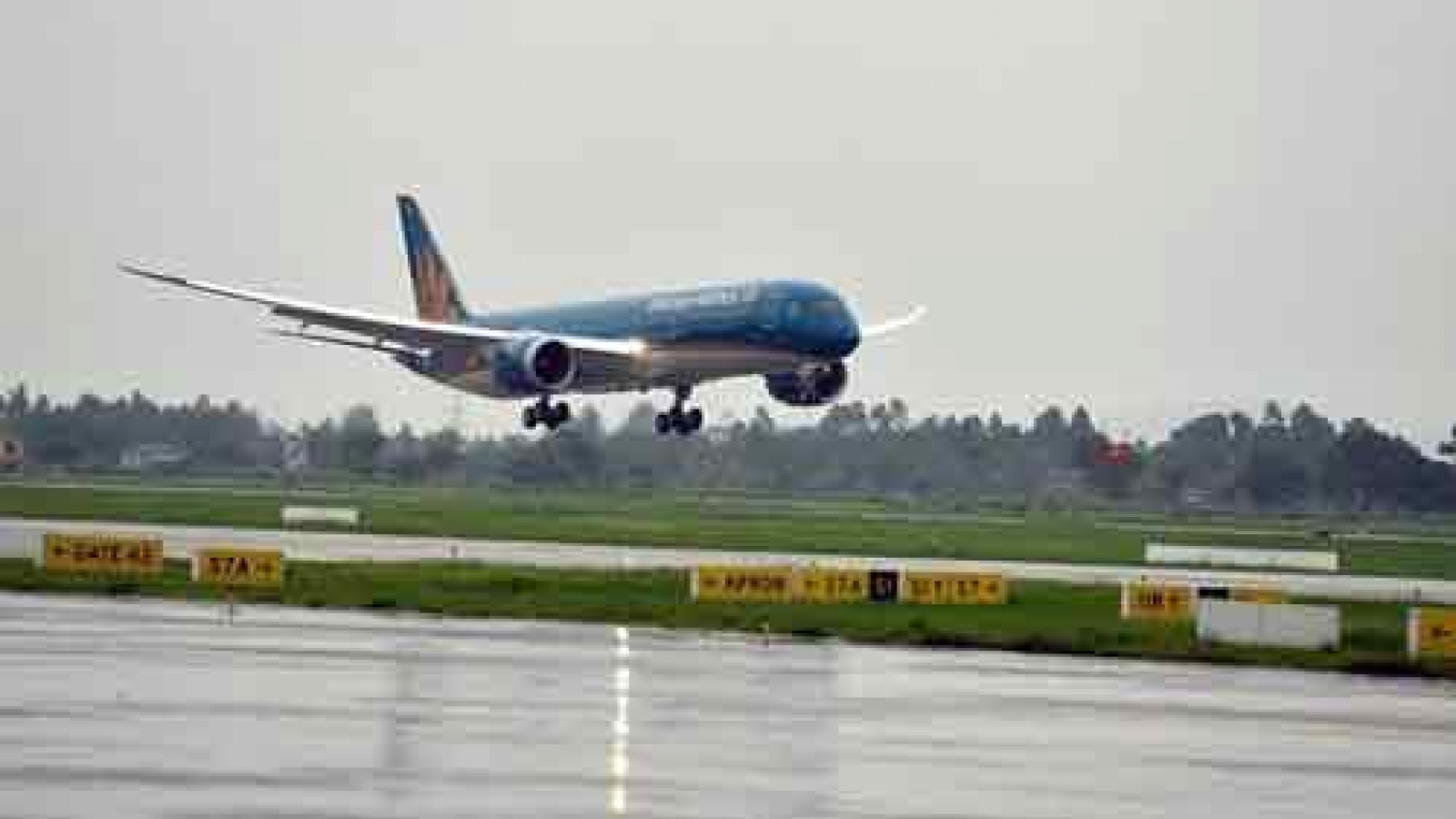 Vietnam Airlines, Vietjet cancel domestic flights due to Dianmu