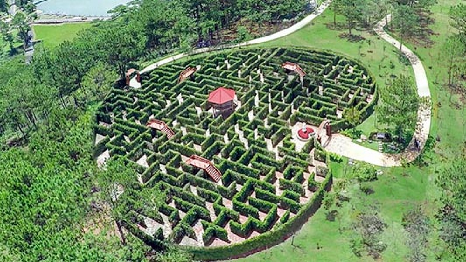 Da Lat Valley of Love sets two records