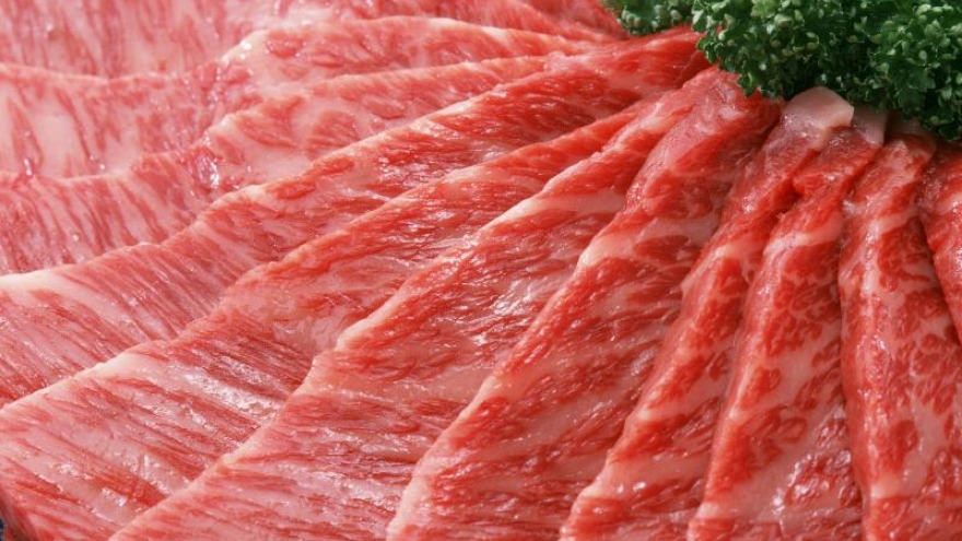 Vietnam still places restrictions on imports of Brazilian beef