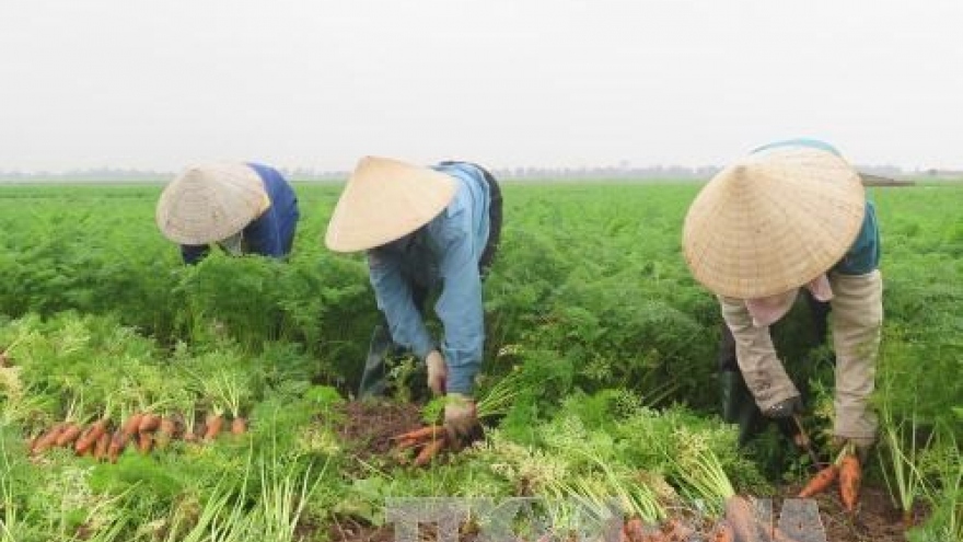 Hai Duong province calls for investment in agriculture