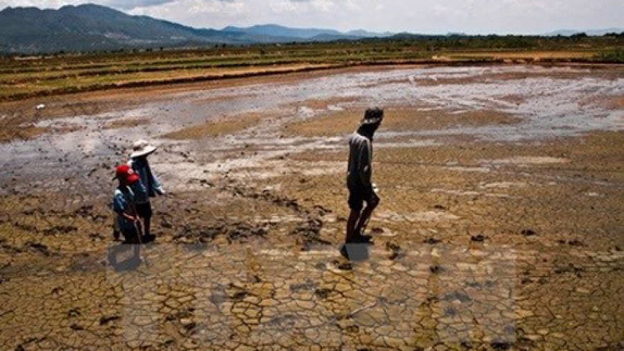Mekong delta faces water shortage, saline intrusion