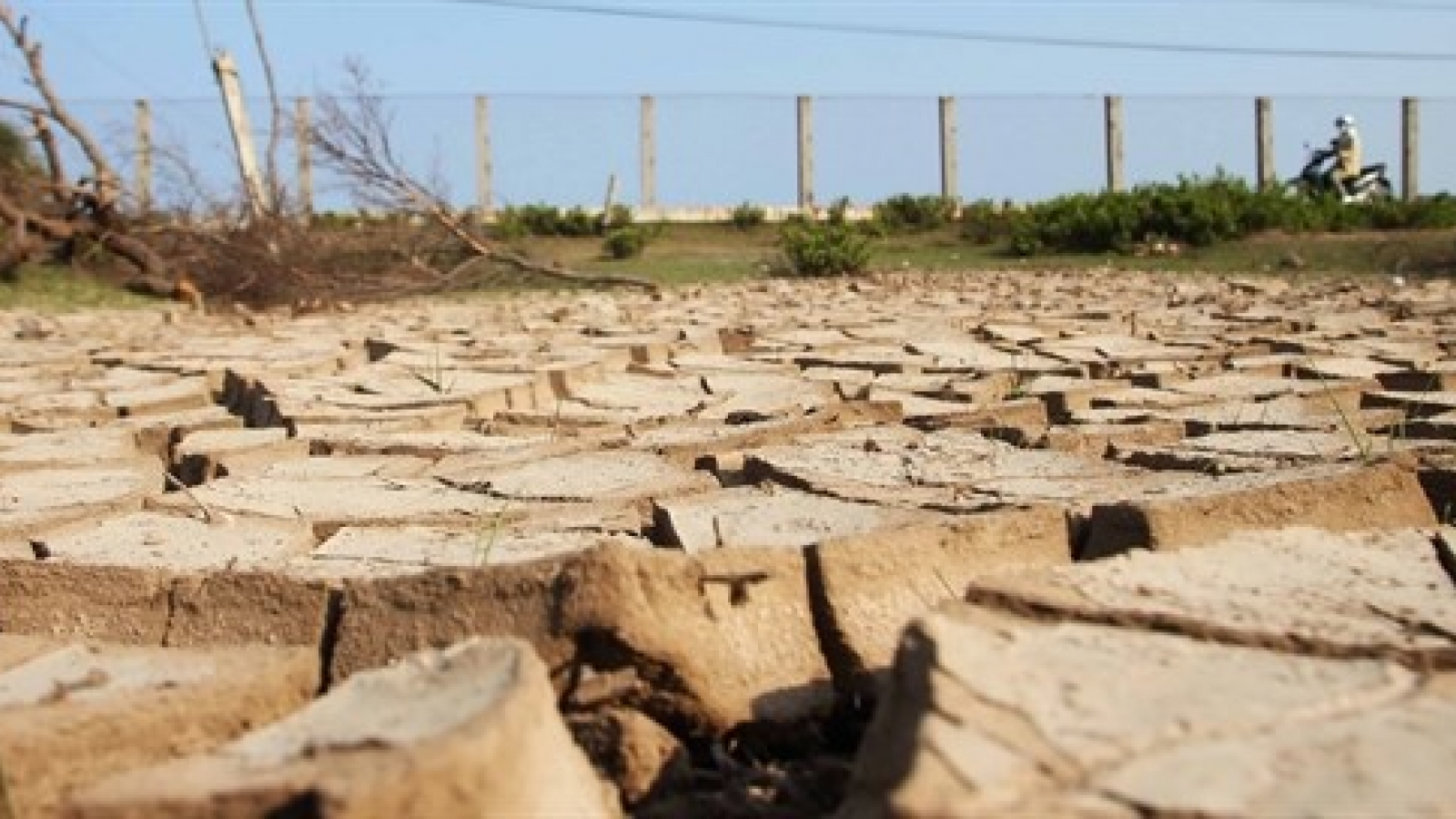 Mekong Delta drought losses total US$215 million