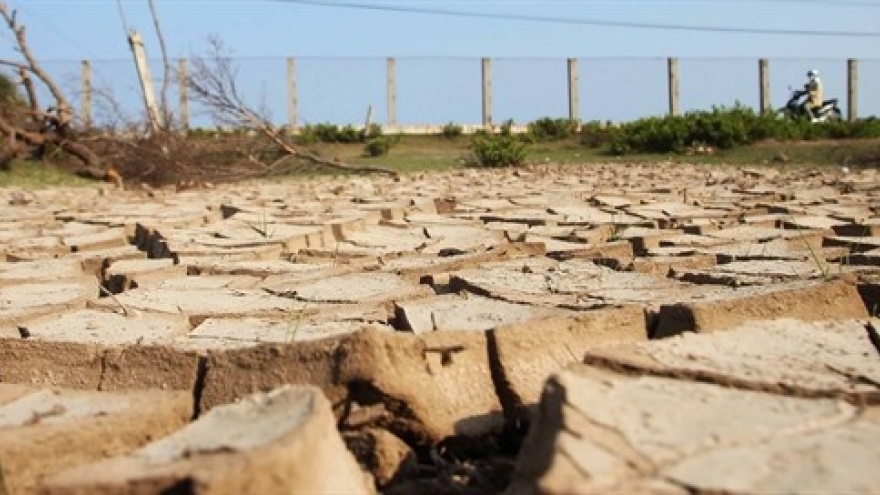 Mekong Delta drought losses total US$215 million