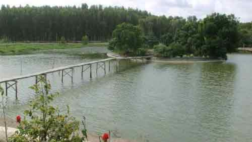 Cajuput forest in Hau Giang becomes biggest ecotourism site in Mekong