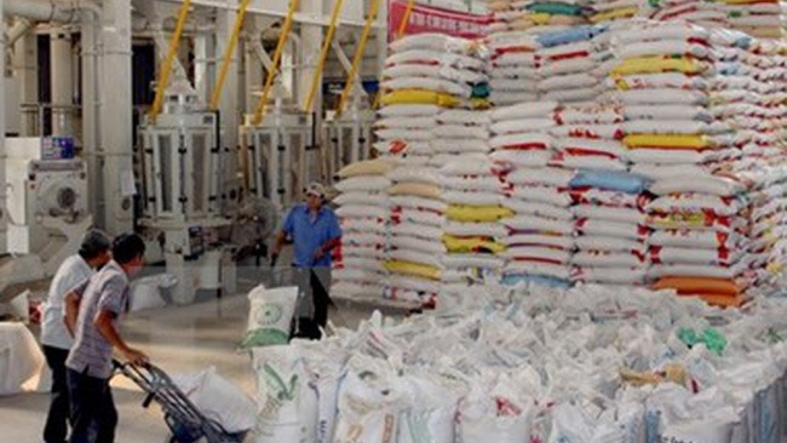 Mekong Delta firms urged to sell to Japan