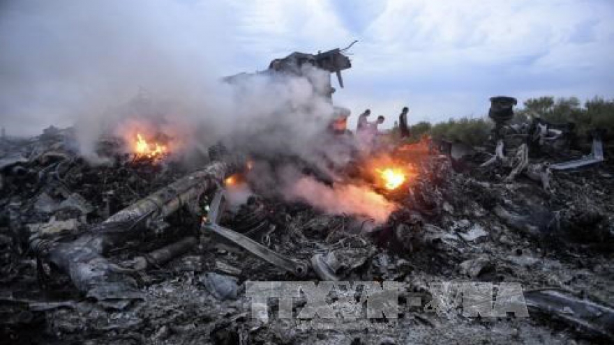 Malaysian lawyers propose bringing MH17 case to ICC