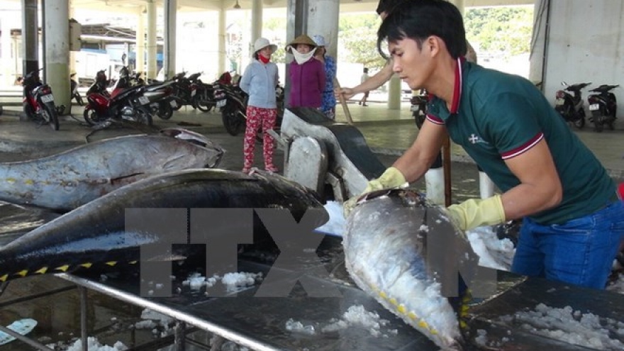 Nearly VND165 billion for fisheries restructuring in 2017-2020