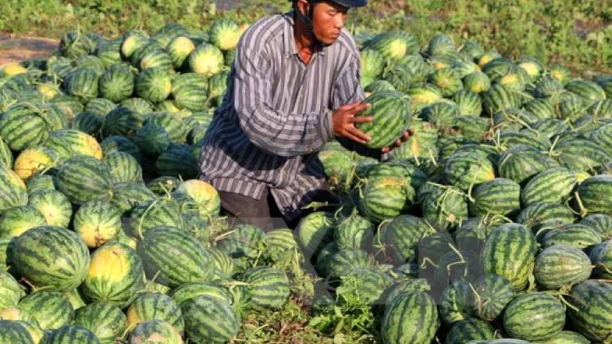 Opportunities for Vietnam’s fruits, vegetables export