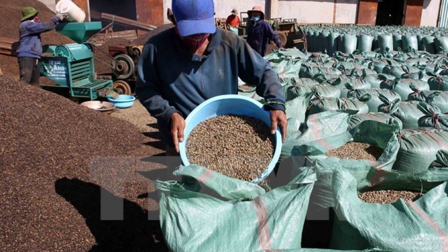 Brazil to import robusta coffee from Vietnam