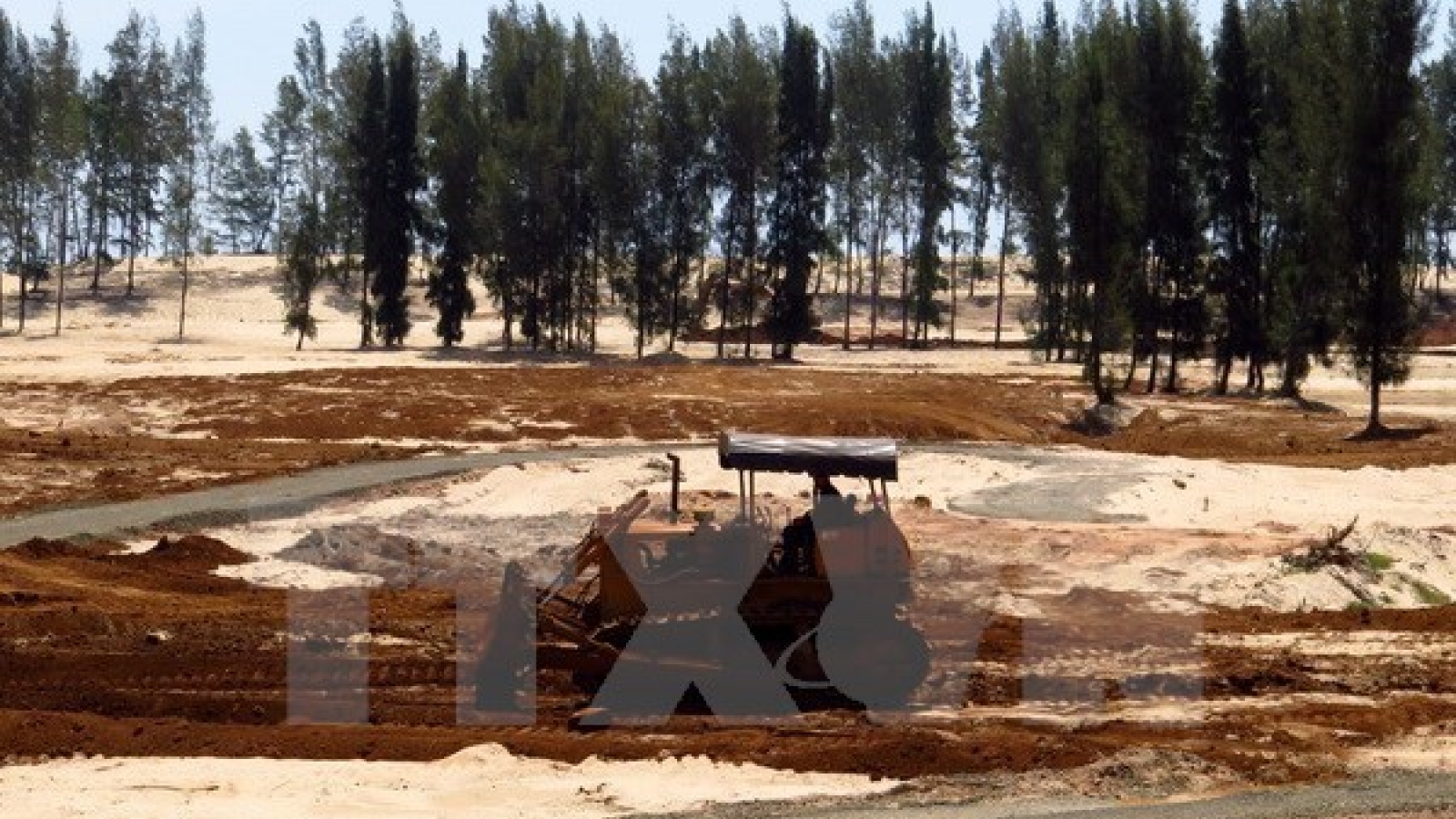 Ninh Thuan restores riverhead protective forests