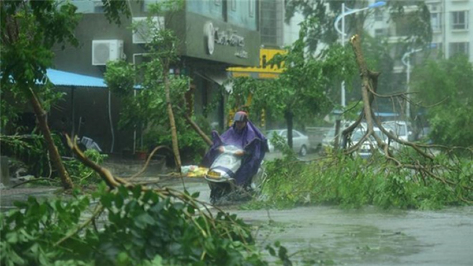 Storm Sarika weakens into tropical pressure