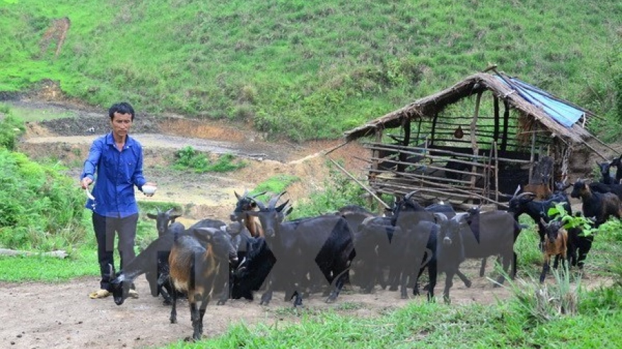 Lai Chau’s Muong Te district improves local lives with WB funding