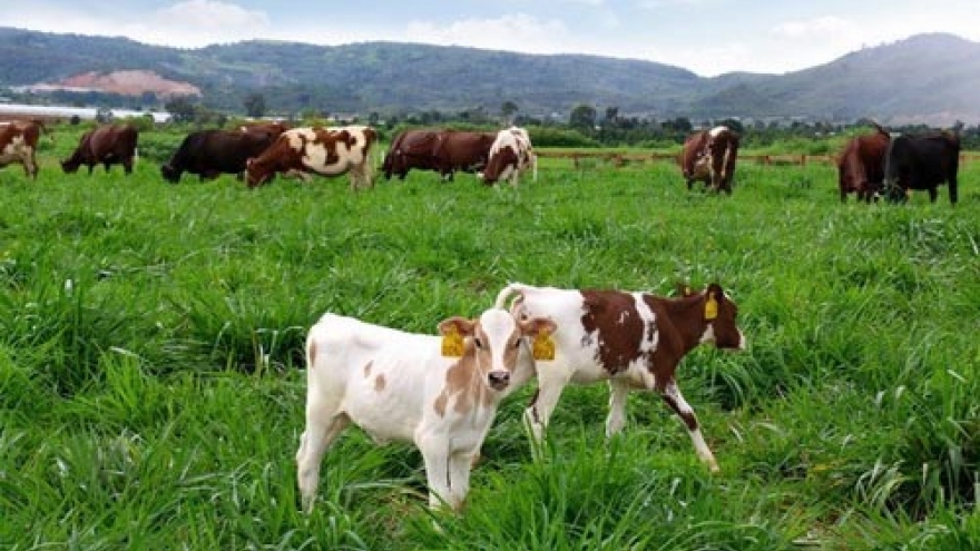 Vietnam, Netherlands partner to improve farm produce’s value