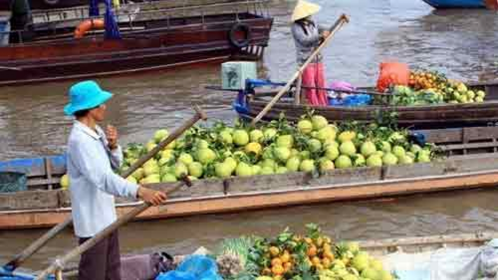 Hanoi to arrange 119 areas selling safe farm produce